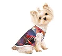 Japan Mount Fuji Landscape Print Lightweight Dog Vest, Cat Sleeveless Shirt, Breathable Mesh Design for Summer Walking and Play