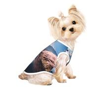 Japan Mount Fuji Landscape Print Lightweight Dog Vest, Cat Sleeveless Shirt, Breathable Mesh Design for Summer Walking and Play