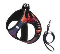 Japan Mount Fuji Landscape printing Puppy Harness, Dog Harness and Leash Set, Soft Mesh Reflective Breathable Lightweight Vest-Style