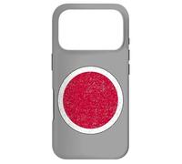 JAPANESE AIR FORCE ROUNDEL INSIGNIA JASDF JAPAN ARMED FORCES Case for iPhone 17 Pro