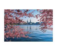 Japanese Cherry Blossoms on the Inner Alster，Jigsaw Puzzle 1000 Piece Game Artwork Travel Souvenir（50x70cm）-AE75