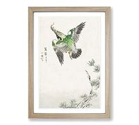 Japanese Common Kingfisher by Numata Kashu Framed Wall Art Print A2 Oak