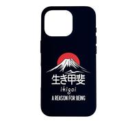 Japanese Concepts To Live By Ikigai - A Reason For Being Case for iPhone 16 Pro