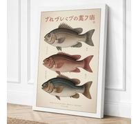 Japanese Fish Studies Japandi Canvas Wall Art Print 24x16 Inch