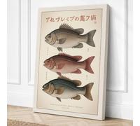 Japanese Fish Studies Japandi Canvas Wall Art Print 30x20 Inch