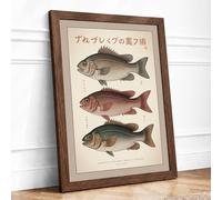 Japanese Fish Studies Japandi Framed Wall Art Print A3 (42×29.7cm) Walnut, Wall Decor for Living Room, Bedroom, Office & Home, Ready to Hang, Art Gift