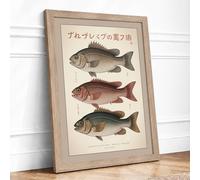 Japanese Fish Studies Japandi Framed Wall Art Print A4 (29.7×21cm) Oak, Wall Decor for Living Room, Bedroom, Office & Home, Ready to Hang, Art Gift