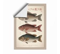 Japanese Fish Studies Japandi Unframed Wall Art Print A2 (59.4×42cm), Wall Decor for Living Room, Bedroom, Office & Home, Art Gift