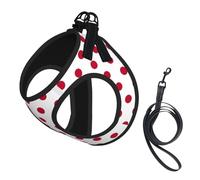 Japanese Flag Print Dog Harness and Leash Set,Breathable Adjustable Escape Proof Vest for Dogs, Cats