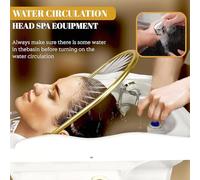 Japanese Head Spa Equipment,Head Spa Equipment Sink Portable with 60L Water Tank,Water Circulation Shampoo Basin with Fumigation Function and Light Therapy,Dual Heating(White,Style1)
