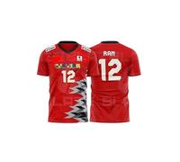 Japanese Japan Volleyball Jersey, National Team Design, #12 Ran, Red V-Neck, Red, Medium