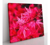 Japanese Maple Tree Painting Modern Canvas Wall Art Print Ready to Hang, Framed Picture for Living Room Bedroom Home Office Décor, 35x35 cm (14x14 Inch)