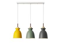Japanese Retro Style Painted Wrought Iron Chandelier, E27 Base Single-Head Ceiling Pendant Light for Attics, Balconies, and Studies(B)