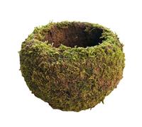 Japanese Style Moss Ball Gardening Potted Plant Moss Flower Pot