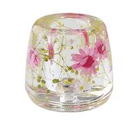Japanese Toothbrush Holder Stand with Real Flower in Acrylic (Star Pink) (NNFHTF-SPK)