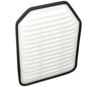 ASHIKA 20-09-909 Air filter