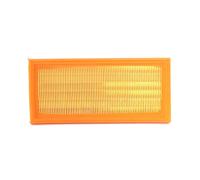 ASHIKA 20-M0-001 Air filter