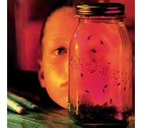 Jar Of Flies