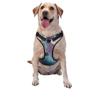 Jar With Magnolia Flowers No Pull Dog Harness Adjustable Reflective Oxford Easy Control Medium Large Dog Harness