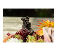 Jardinopia Antique Bronze Coloured Schnauzer Pot Buddy Plant Pot Hanger Jardinopia Bronze