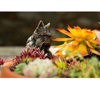 Jardinopia Antique Bronze Coloured Scottish Terrier Pot Buddy Pot Hanger