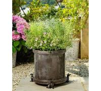 Jardinopia Antique Bronze Jack Russell Terrier Plant Pot Feet - Set of 3 Jardinopia Bronze