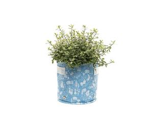 Jardinopia Beatrix Potter Fabric Eco 23L Pots - L45 X W45 X H27 Cm - Blue