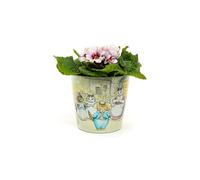 Jardinopia Beatrix Potter Peter Rabbit Eco Pots Set 2 - L13 X W13 X H12.5 Cm