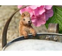 Jardinopia Beatrix Potter Squirrel Nutkin Plant Pot Hanger