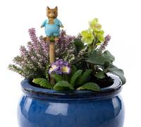 Jardinopia Beatrix Potter Tom Kitten Cane Or Stake Topper (Ccbp0007C) - L5.5 X W3.5 X H9 Cm