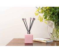 Jardinopia Diffuser Decor - Poppy Seed Heads Range - L10 X W10 X H2 Cm
