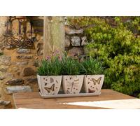 Jardinopia Iona Buchanan Insects Eco Pots Set Of 3 With Tray - L12.5 X W38 X H13 Cm