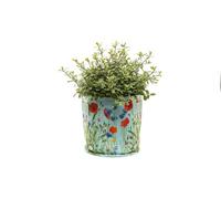 Jardinopia Iona Buchanan Meadow Fabric Eco 9L Pots - L34 X W34 X H23 Cm - Green