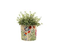 Jardinopia Iona Buchanan Meadow Fabric Eco Pots - 23L - Cream