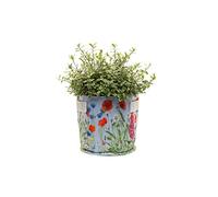 Jardinopia Iona Buchanan Meadow Fabric Eco Pots - 9L - Lilac