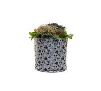 Jardinopia Mickey & Minnie Mouse Heads Fabric Eco Pots 23L Grey