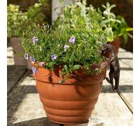 Jardinopia Pot Buddies Plant Pot Ornament - Dinosaur - Velociraptor