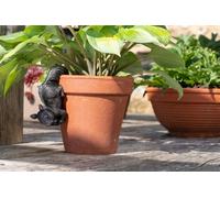 Jardinopia Red Squirrel Plant Pot Hanger - L13 X W4.5 X H7 Cm
