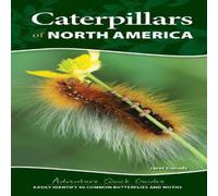 Jaret C. Daniels Caterpillars of North America : Easily Identify 90 Common Jaret C. Daniels Multicolor