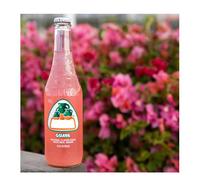 Jarittos Mango,Strawberry,Guava,Grapefruit,Lime,Pineapple,Mandarin,Mexican Natural Fruit Flavoured Soda Bottles 370ml (2 x Bottles, Guava Soda 370ml)