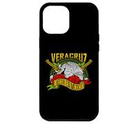 Jarocho Veracruz México Vacation Couple Matching Case for iPhone 12 Pro Max