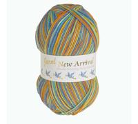 Jarol New Arrrival Baby Random Double Knit/DK Knitting & Crochet Yarn. Baby Yarn Available in a Selection of Variegated Shades, 100% Acrylic, 600 Metres, 200g Balls, Pack of 3, Iguazu