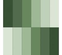 JarThenaAMCS 12Pcs Cotton Fabric Bundles Sage Green 10 x 10 Inch Gradient Green Fabric Squares Colorful Sewing Fabrics for St. Patrick's Day DIY Craft Party Decor