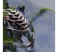 Jason Doell - becoming in shadows / of being touched [VINYL]