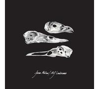 Jason Molina / MJ Lenderman - The Last Three Human Words (Demo) / Just Be Simple (Cover) [VINYL]
