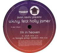 Jason Nevins Presents Holly.. - I'm in Heaven [12" VINYL]