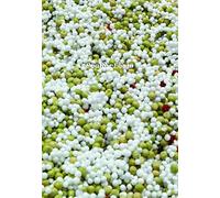 Jason Rhoades: PeaRoeFoam