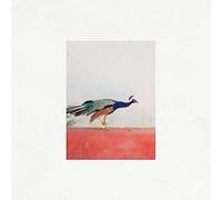 Jason Singh & The Banwasi Collective - Travellers [VINYL]