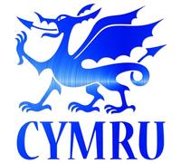 JasonCarlMorgan JCM Graphics Cymru Dragon Sticker Chrome Blue 280mm