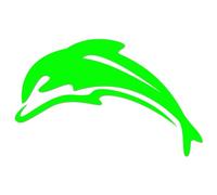 JasonCarlMorgan JCM Graphics Dolphin Iron On HTV Transfer Neon Green 190mm